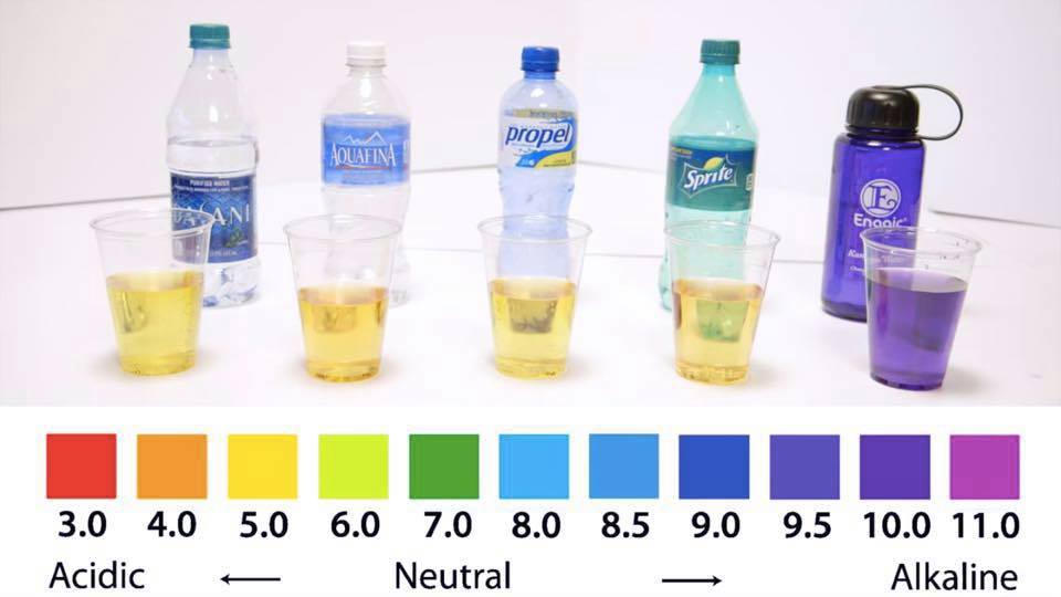 164006035_10226196770364474_7204286039444945608_n